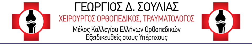 Σούλιας Γεώργιος - Logo